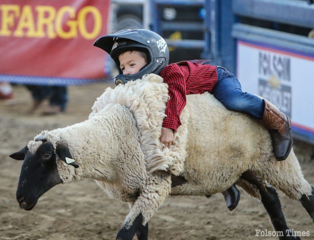 Hang on! Folsom Rodeo’s biggest cheers are for its smallest stars each year