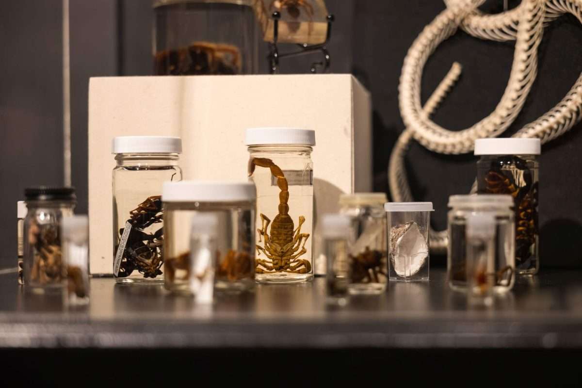 Stage Nine’s Spidey-Sense is Tingling with Excitement: The Paperworks and Death by Natural Causes Exhibit Offer Special Activations on Opening Weekend of Spider-Man: Brand New Day