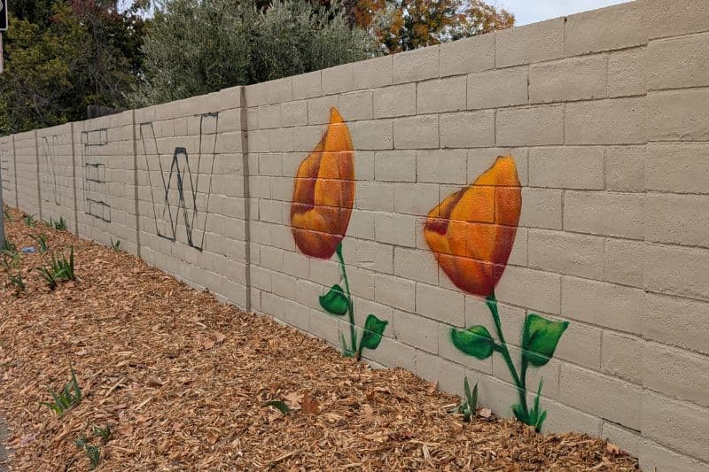 Citrus Heights approves reallocation of funds, following ArtBeat festival cancellation