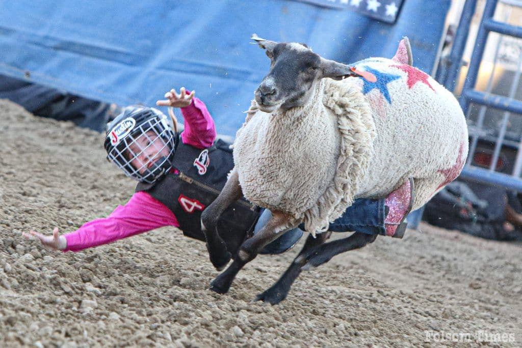 Cowboy countdown: Folsom Pro Rodeo saddles up for big 65th Year