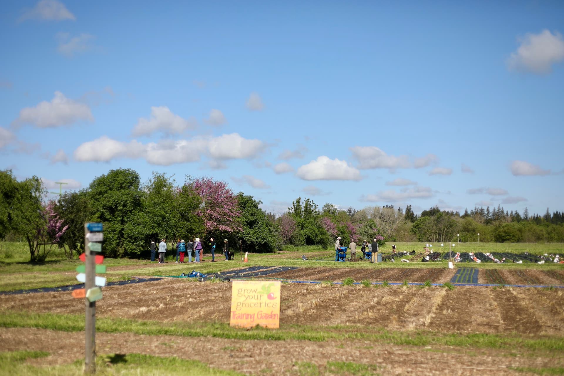 Regenerative Agriculture Farm Tour