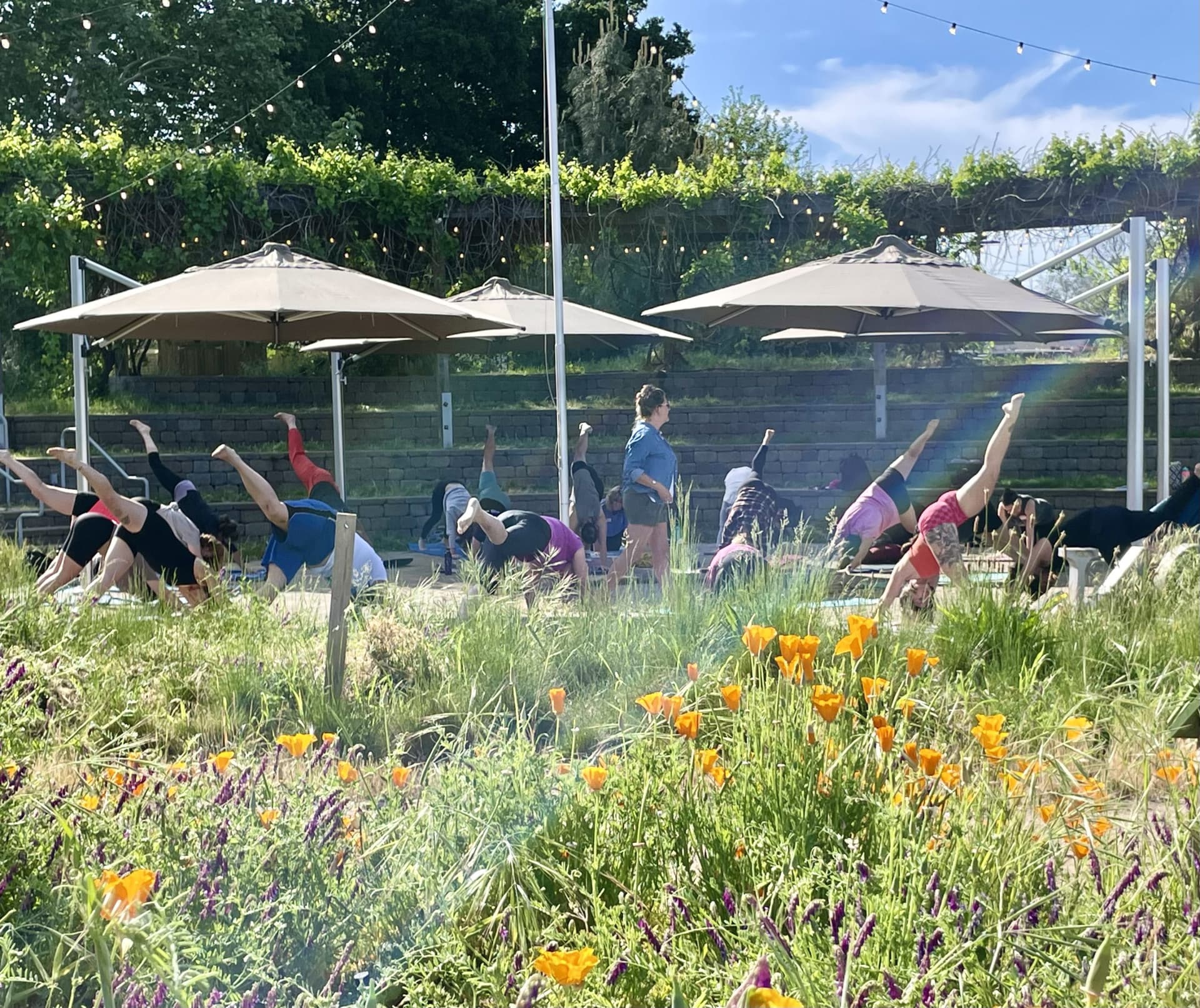 Yoga on the Farm
