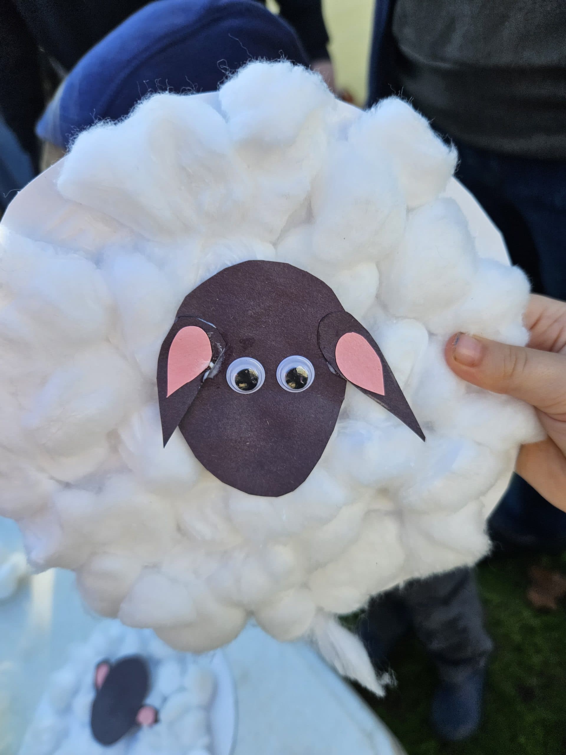Li’l Sprouts: Meet the Sheep